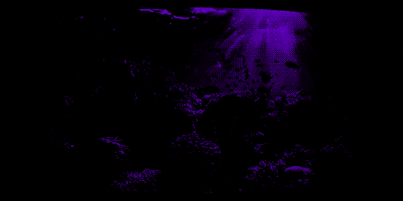 coral reef